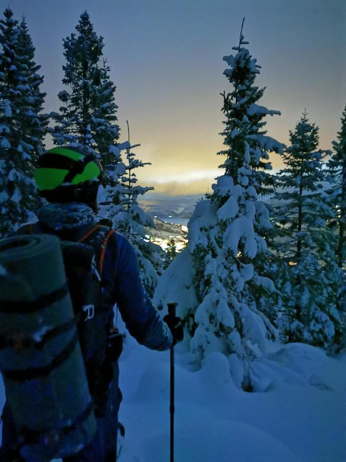 Bjørkelia Lodge Vassenden Eksteriør billede
